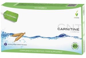 L-Carnitine 20 Ampoules