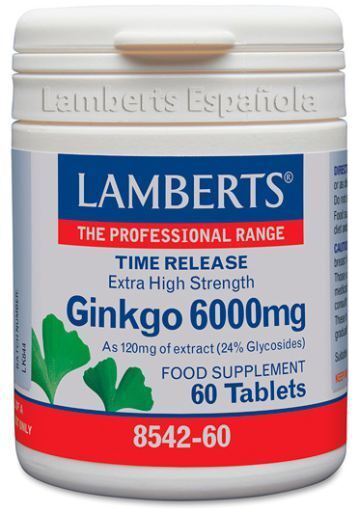 Ginkgo Biloba 6000 High Power 120 mg 30 Units