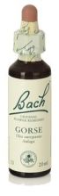 Bach 14 Heather 20 ml