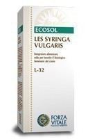 Syringa Vulgaris Lilac 50 ml