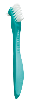 Prosthesis Toothbrush