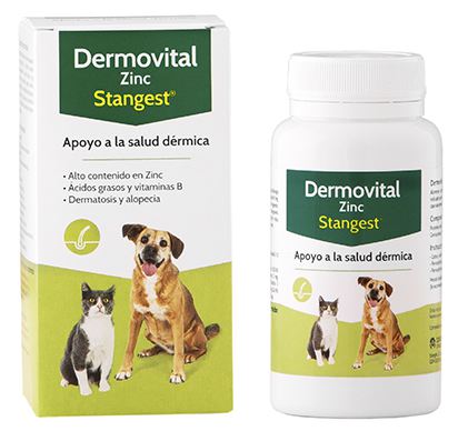 Dermovital Zinc 60 tablets