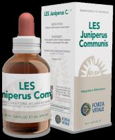 Juniperus Communis Juniper 50 ml