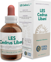 Cedrus Libani Lebanon Cedar 50 ml